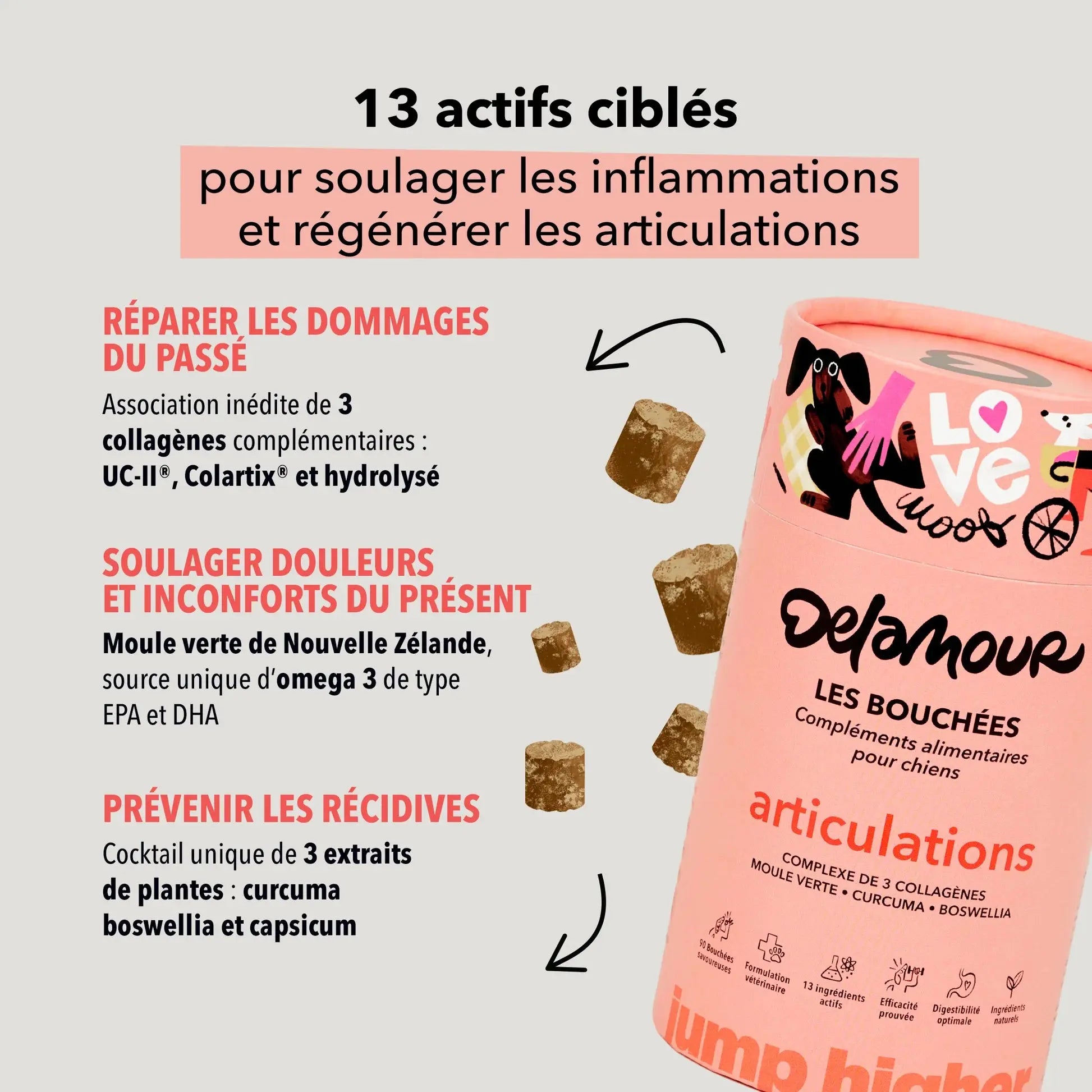 Les bouchées articulations DELAMOUR