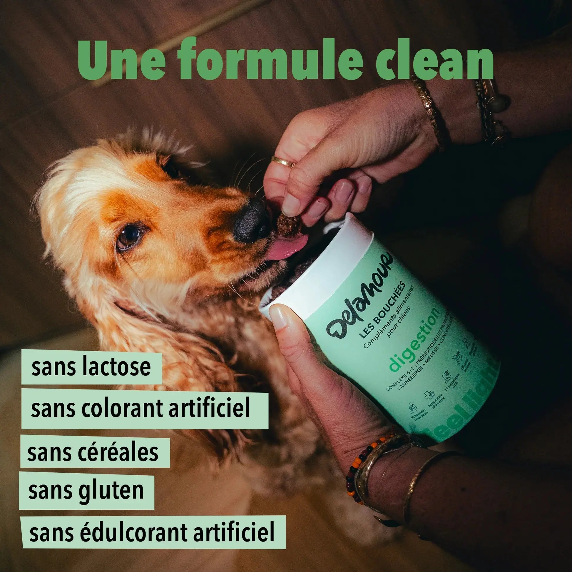 Les bouchées digestion DELAMOUR