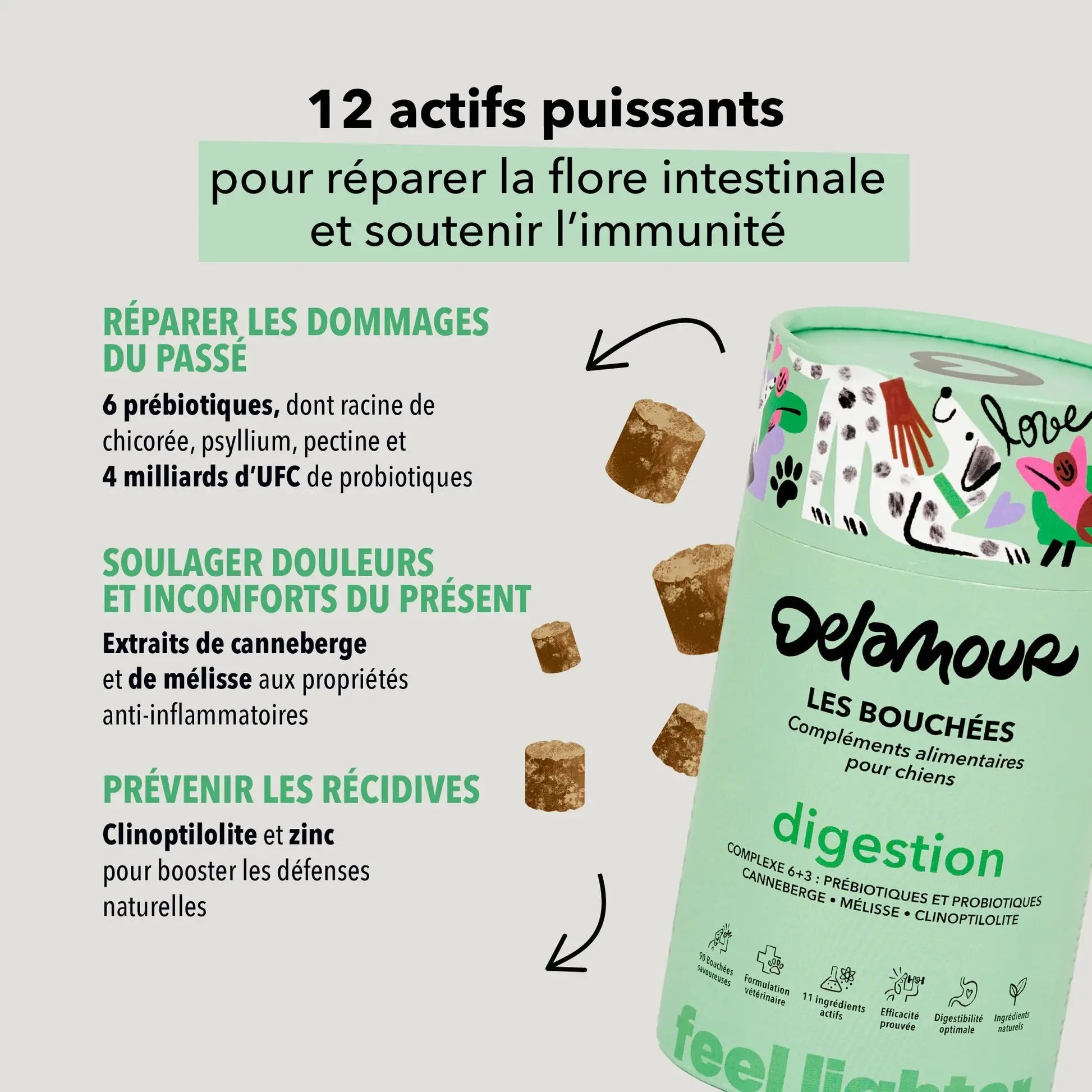 Les bouchées digestion DELAMOUR