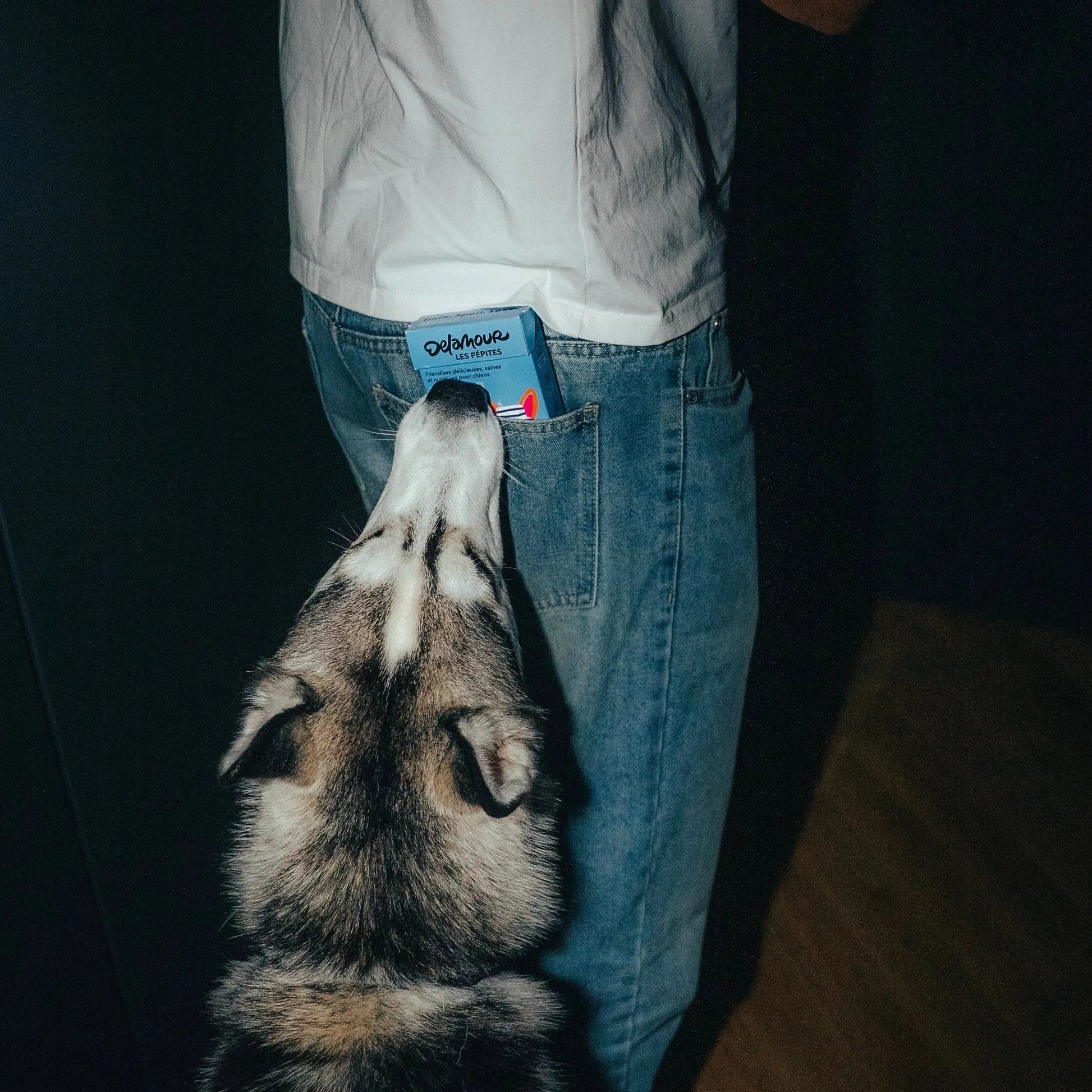 Les pépites de Cabillaud Delamour DELAMOUR