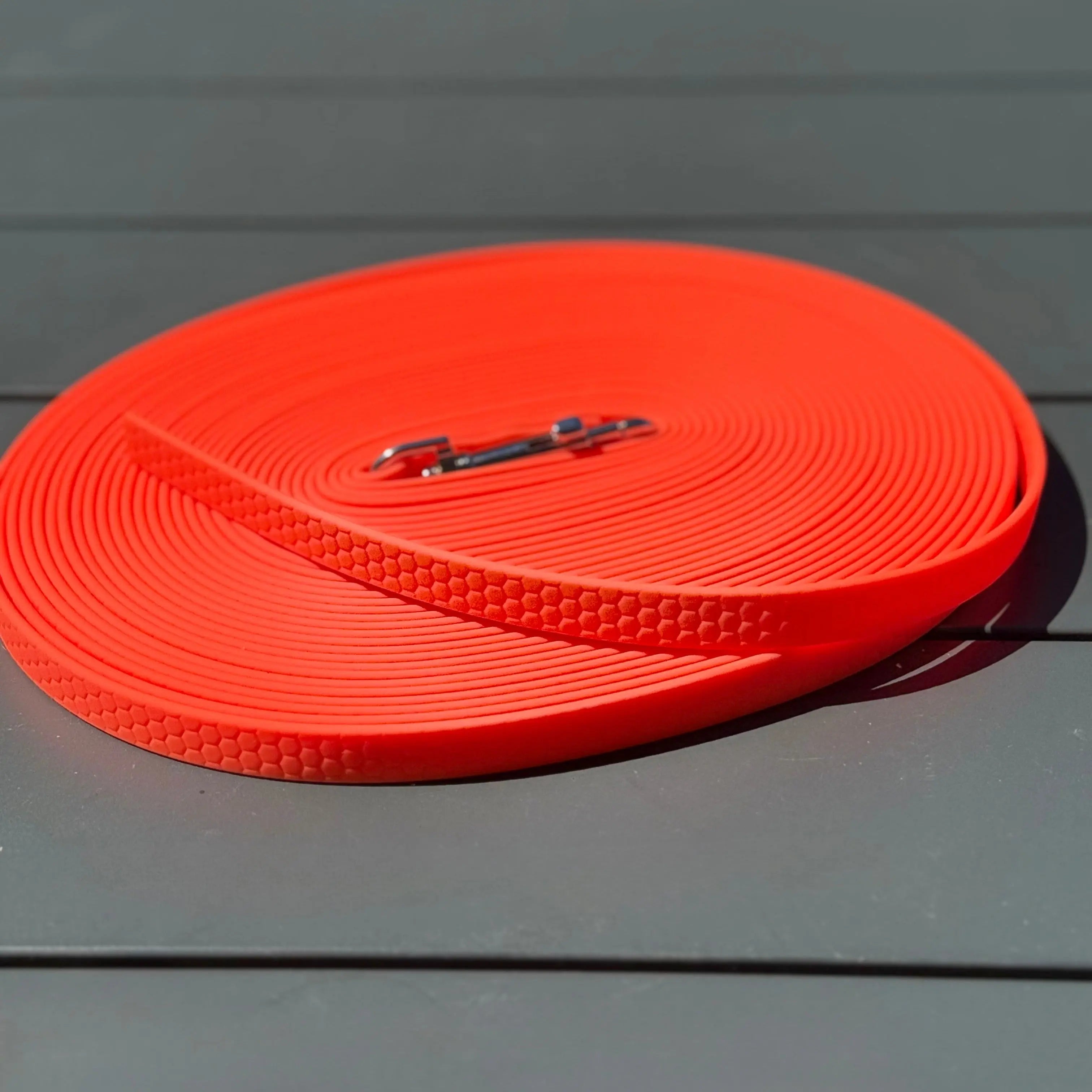 Longe personnalisée en Hexa DOG & CAT ETOILES