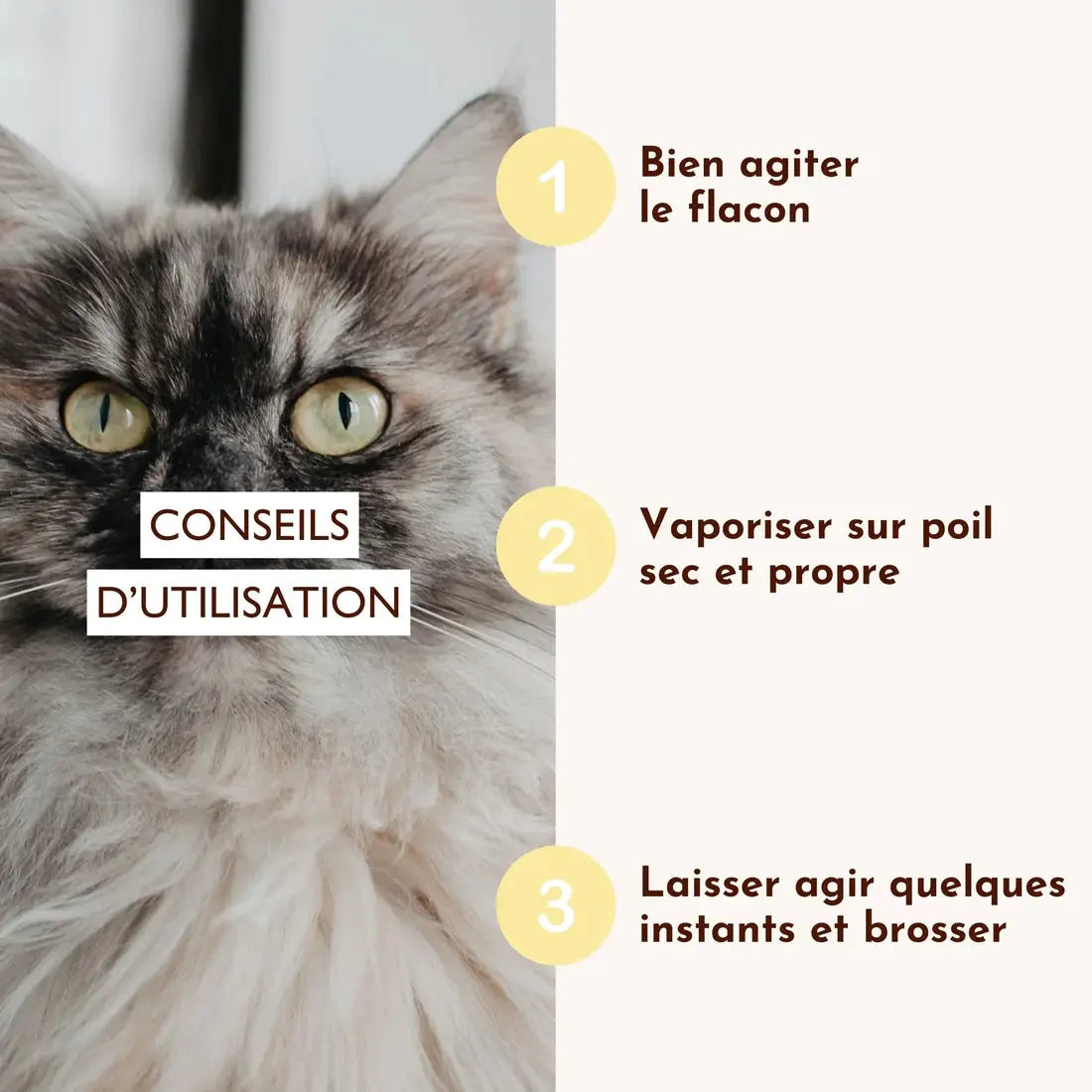 Lotion Nutri Repair Cachemire DEXTER & MANGO