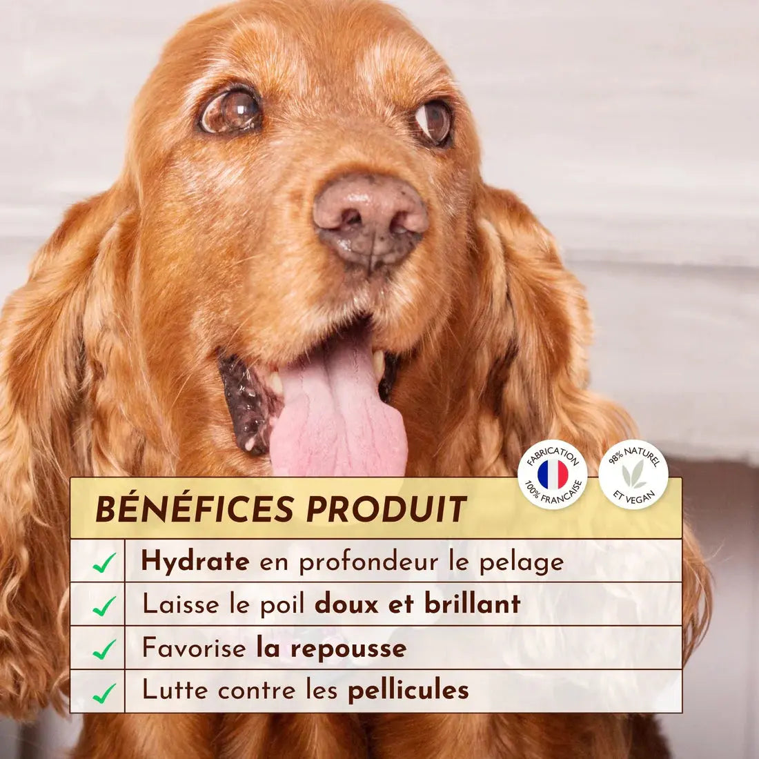 Lotion Nutri Repair Cachemire DEXTER & MANGO