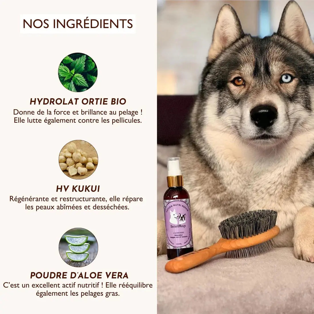 Lotion Nutri Repair Cachemire DEXTER & MANGO