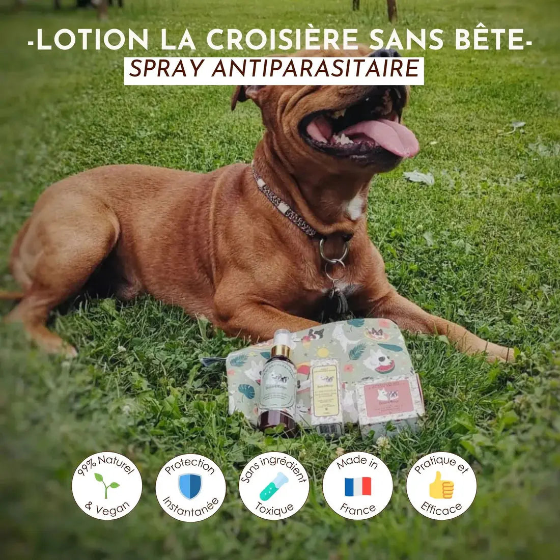 Lotion antiparasitaire, la croisière sans bête DEXTER & MANGO