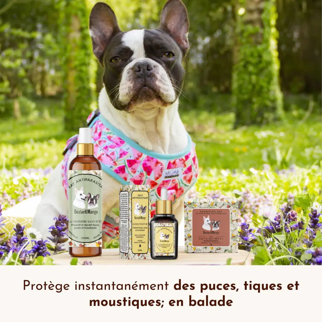 Lotion antiparasitaire, la croisière sans bête DEXTER & MANGO