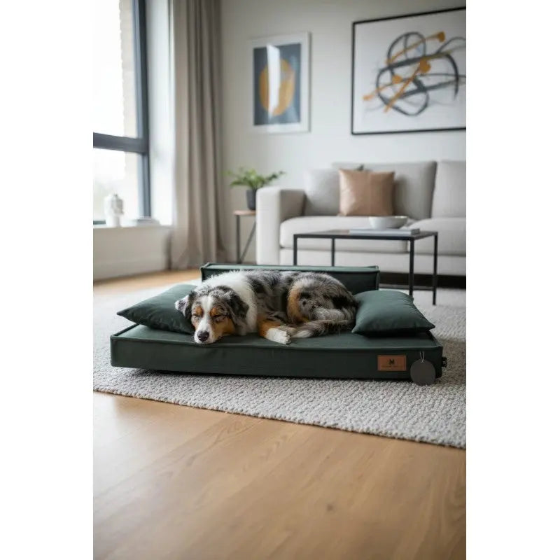 MAISON MOULIN - Canapé Orthopédique Déhoussable pour Chien MAISON MOULIN