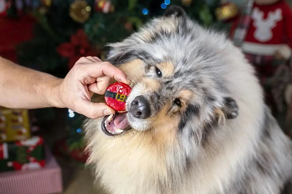 Macarons Ventre du PÚre Noël - Boßte Cadeau de Noël - Cooka's Cookies COOKA'S COOKIES