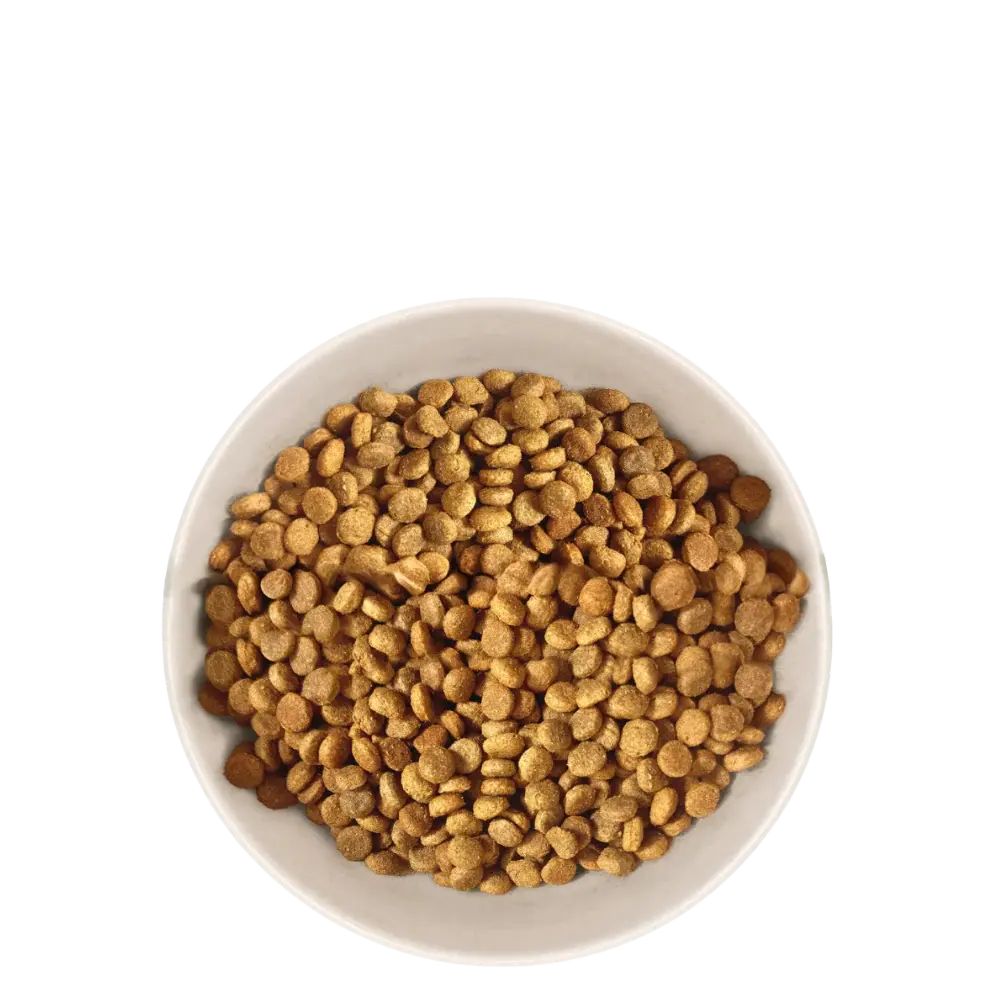 Marly & Dan -Croquettes Chat Adulte Stérilisé Marly & Dan