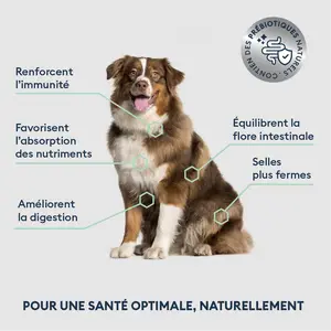 Marly & Dan -Croquettes Chien Adulte Grande Race Marly & Dan