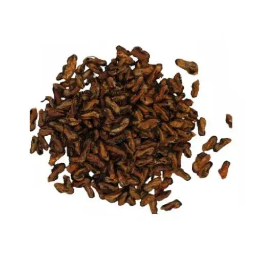 Moule DOG & CAT ETOILES