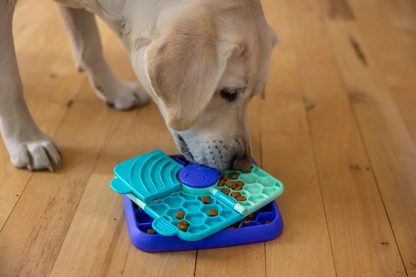 NINA OTTOSSON – Lick N’ Flip – Jeu d’intelligence et slow feeder pour chien NINA OTTOSSON