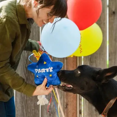 PET PLAY – Jouet en peluche pour chien Ballon d’anniversaire PET PLAY