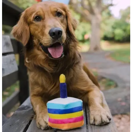 PET PLAY – Jouet en peluche pour chien Gâteau d’anniversaire PET PLAY