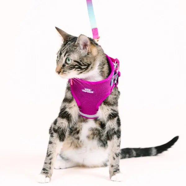 PINK PAPYRUS - Harnais et laisse Chat PINK PAPYRUS