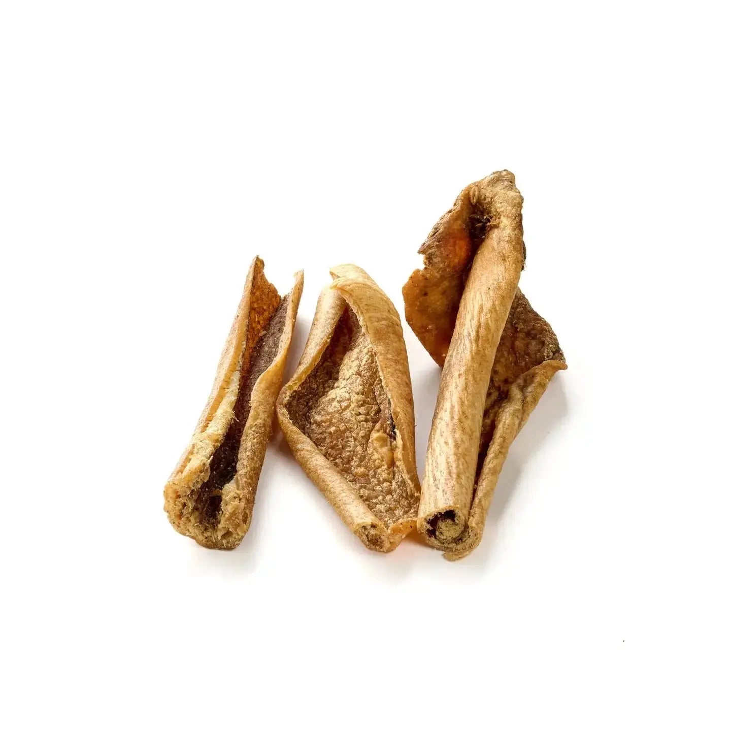 Peau de Sanglier DOG & CAT ETOILES