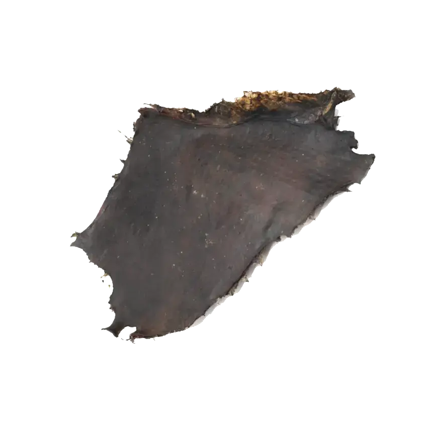 Plaque de Cerf DOG & CAT ETOILES