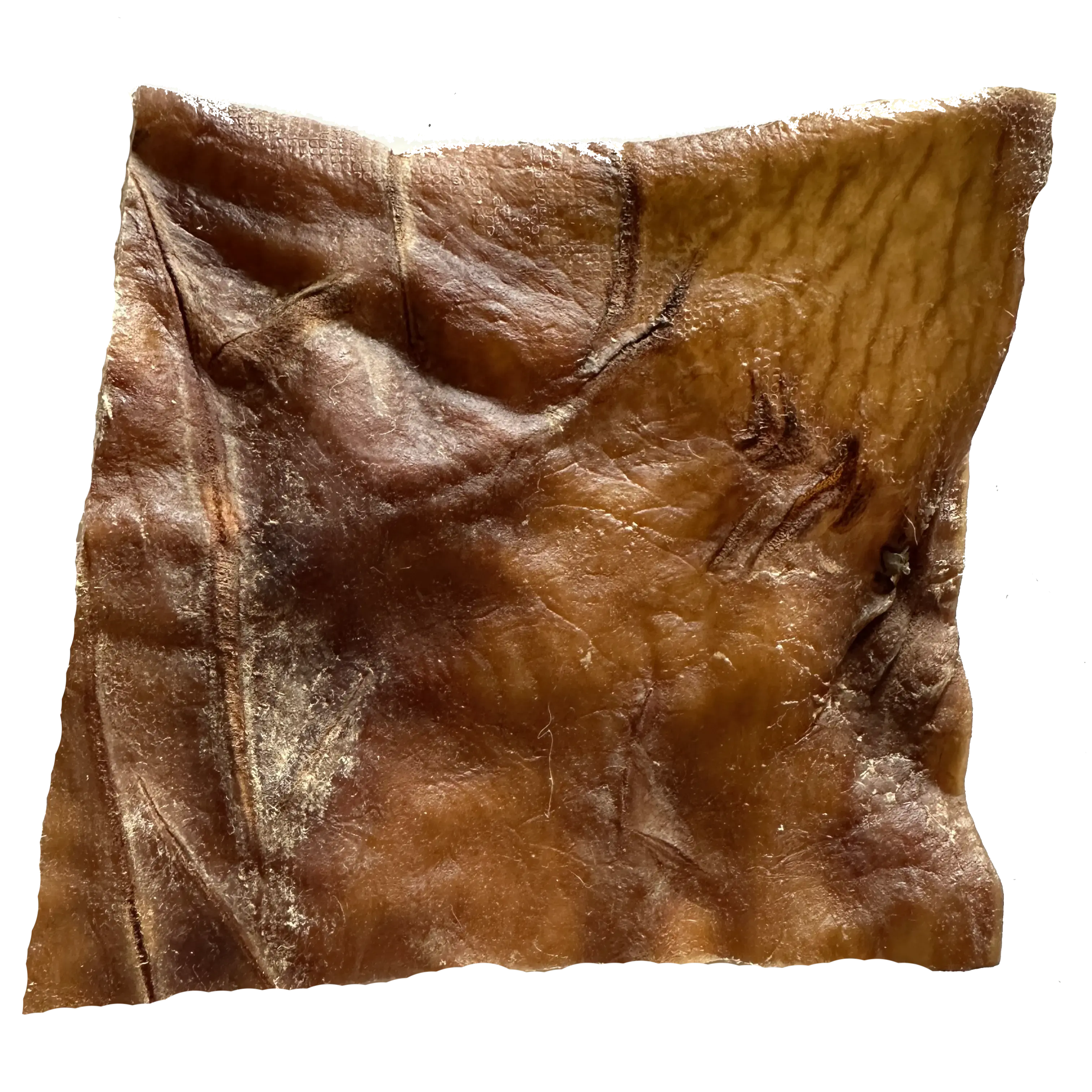 Chips de cheval DOG & CAT ETOILES