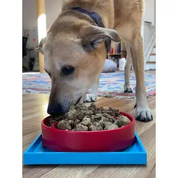 Plateau à ventouse – Hold’Em - SODAPUP