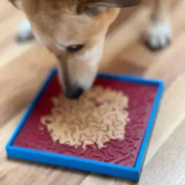 Plateau à ventouse – Hold’Em - SODAPUP