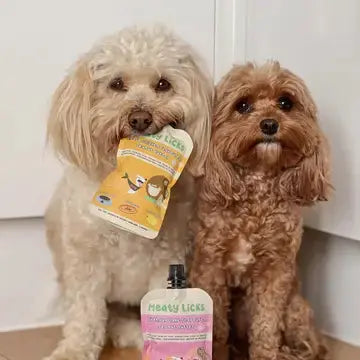 Pochette de beurre de cacahuète Poulet Rôti pour chiens DOG & CAT ETOILES