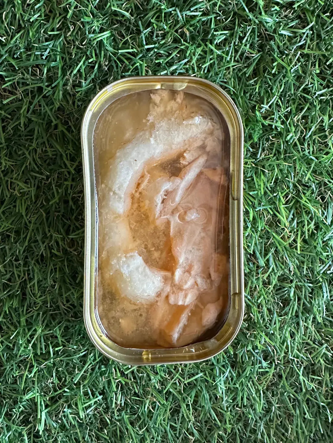 Saumon au naturel pour chien - Canumi CANUMI