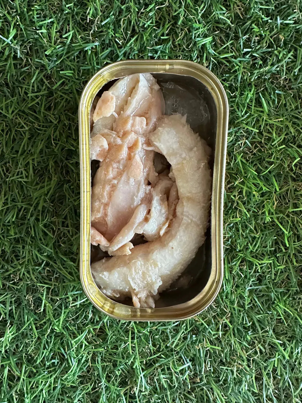 Saumon au naturel pour chien - Canumi CANUMI