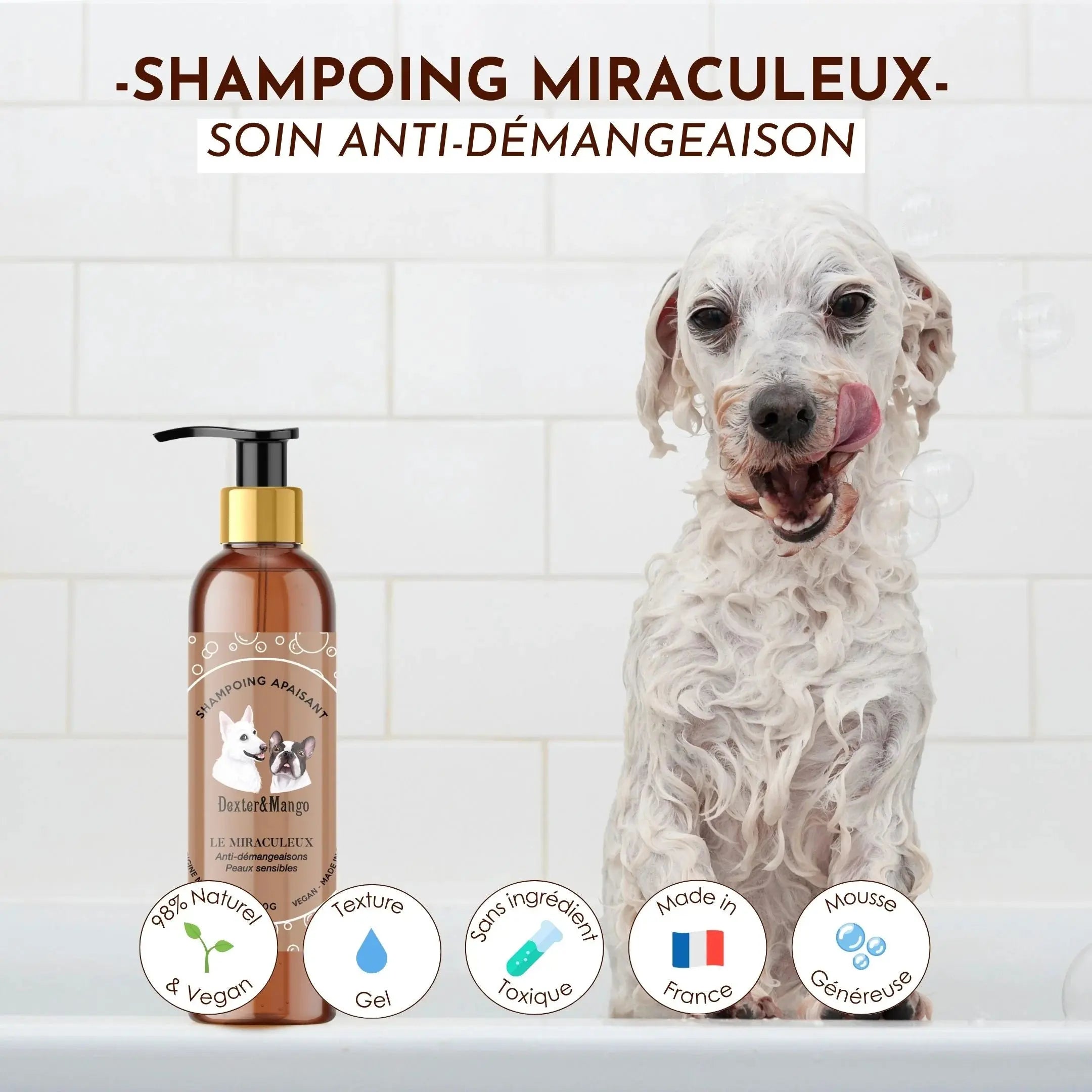 Shampoing anti démangeaison chien – Le Miraculeux DEXTER & MANGO