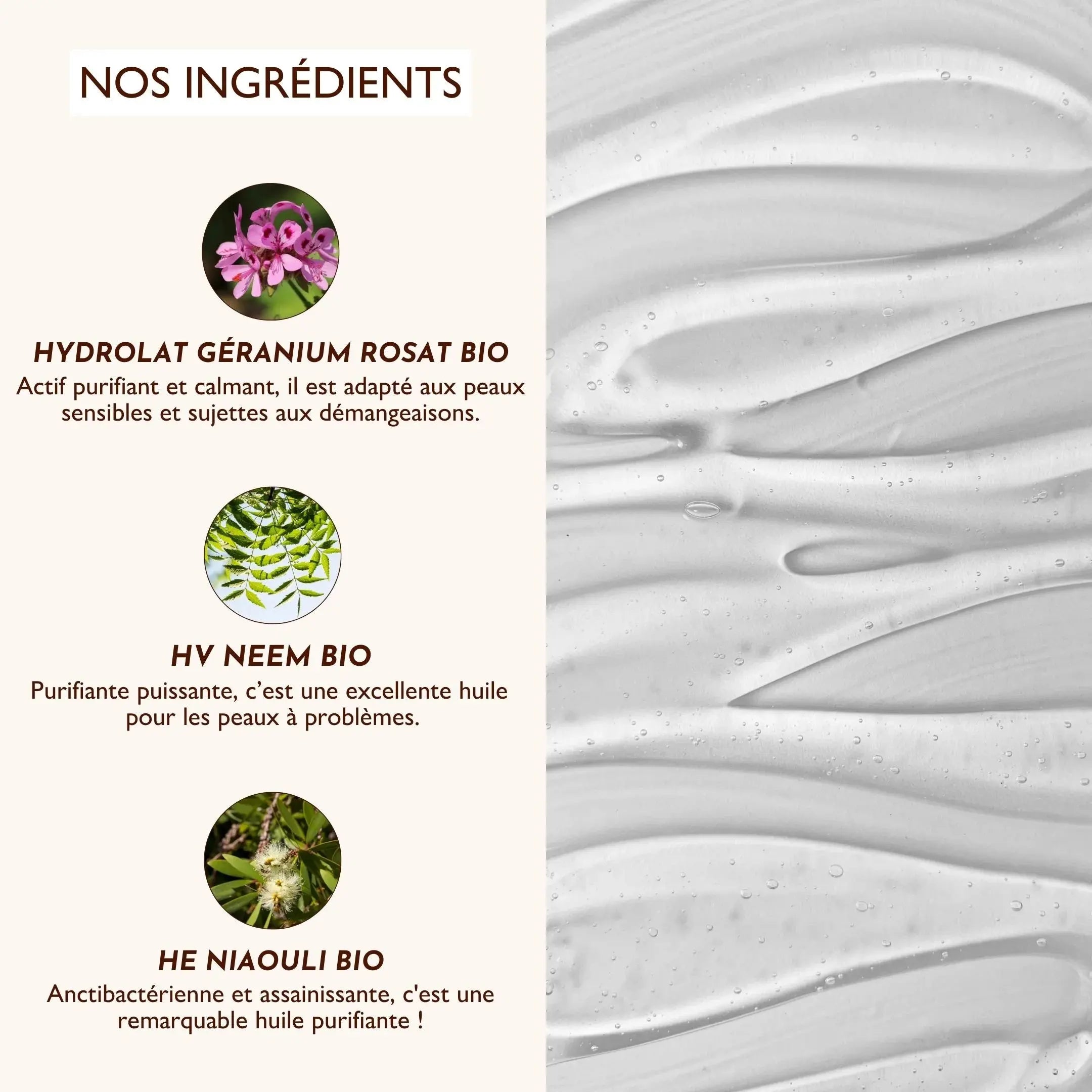 Shampoing anti démangeaison chien – Le Miraculeux DEXTER & MANGO