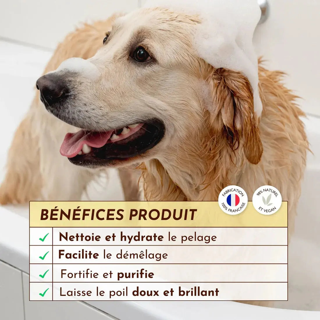 Shampoing liquide Poils de Velours DEXTER & MANGO