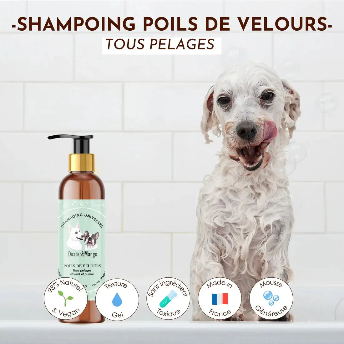 Shampoing liquide Poils de Velours DEXTER & MANGO