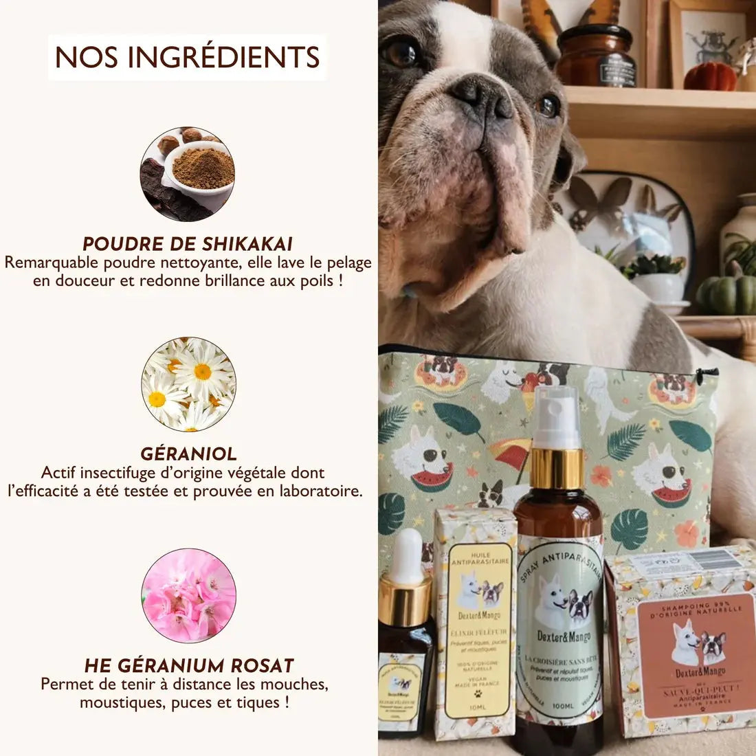 Shampoing solide antiparasitaire, Sauve-qui-peut ! DEXTER & MANGO