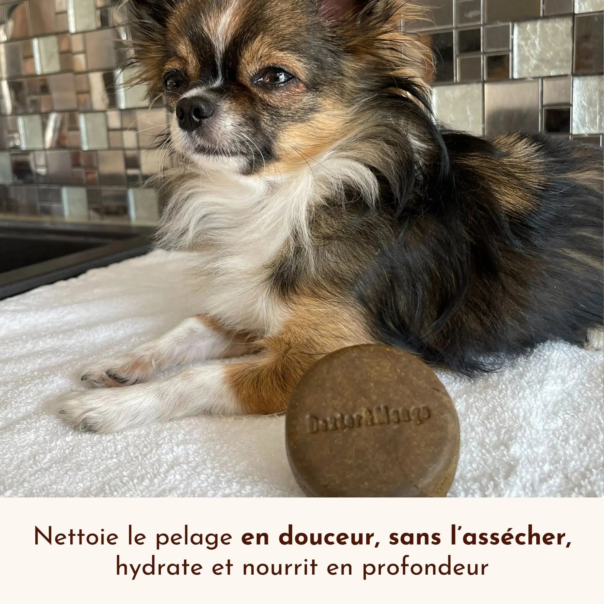 Shampoing solide pour chiot - P'tit mousse DEXTER & MANGO