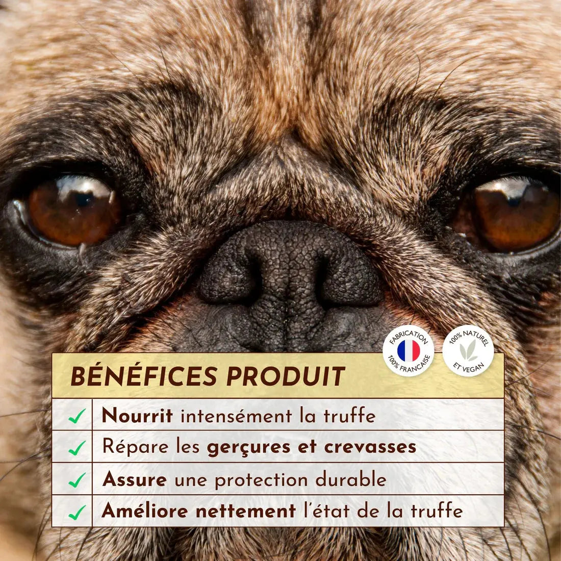 Stick Belle truffe DEXTER & MANGO