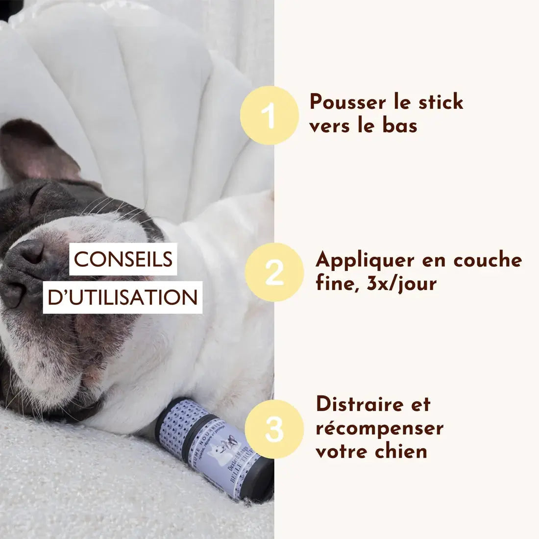 Stick Belle truffe DEXTER & MANGO