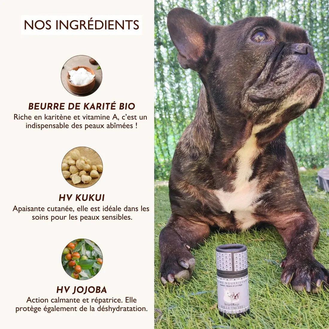 Stick Belle truffe DEXTER & MANGO