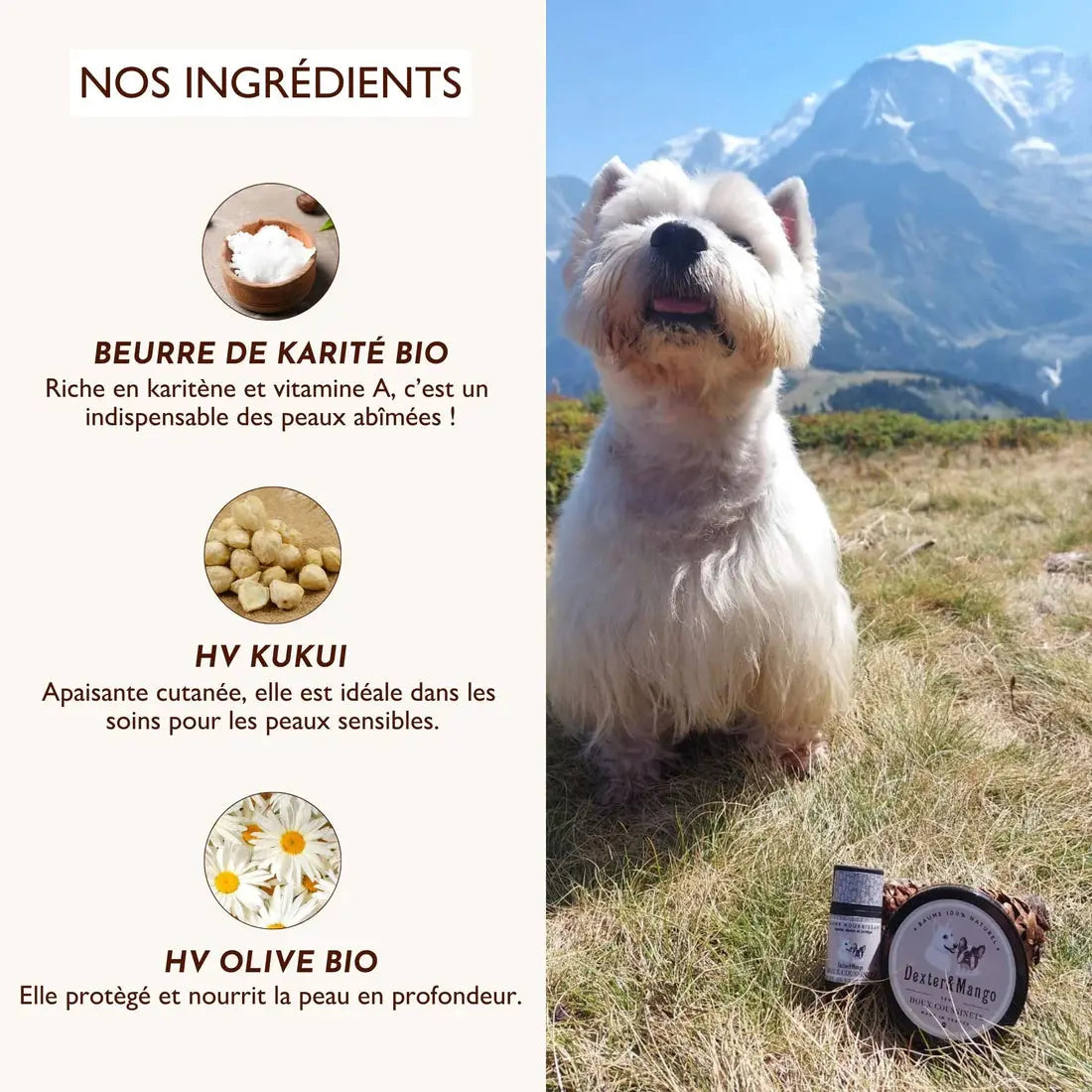 Stick Doux coussinets DEXTER & MANGO