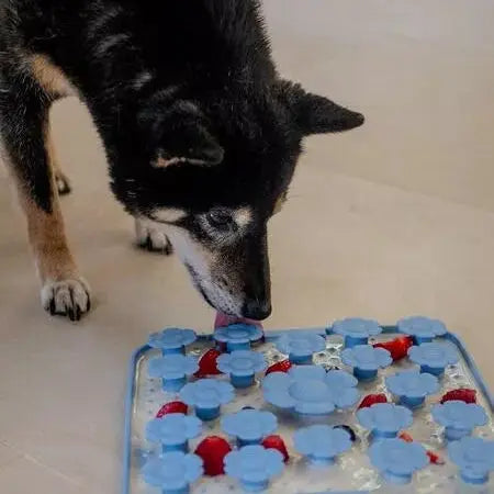 Tapis de Fouille & Léchage - Daisy Mat INOOKO