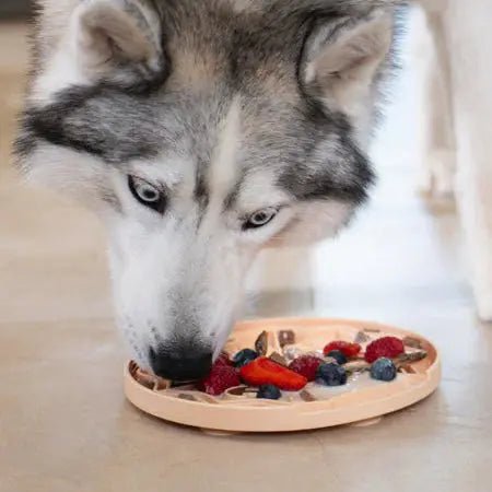 Tapis de Léchage Yoomy Pizza INOOKO