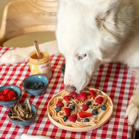 Tapis de Léchage Yoomy Pizza INOOKO