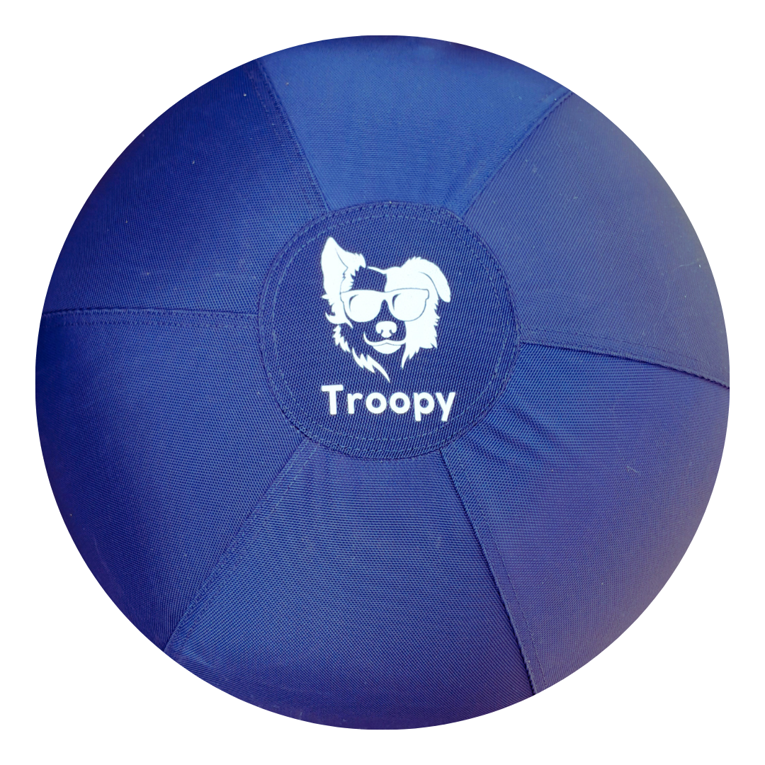 Troopy - Balle de Troupeau TROOPY