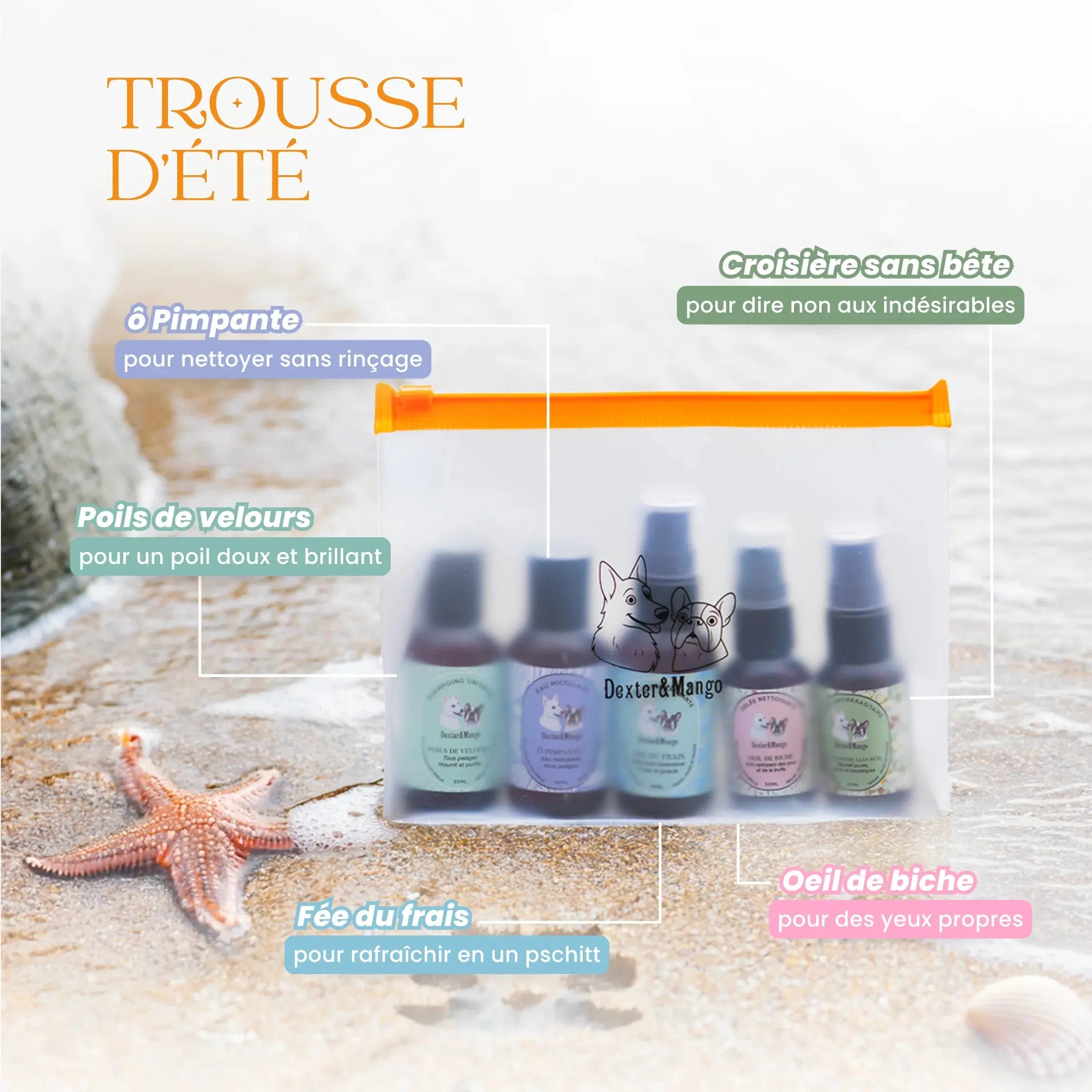 Trousse d’été Dexter & Mango – 5 soins nomades chiens DEXTER & MANGO