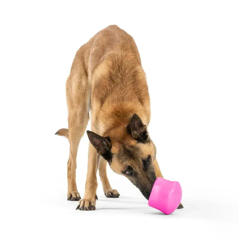 WEST PAW - Toppl - Jouet d’enrichissement et distributeur de friandises WEST PAW