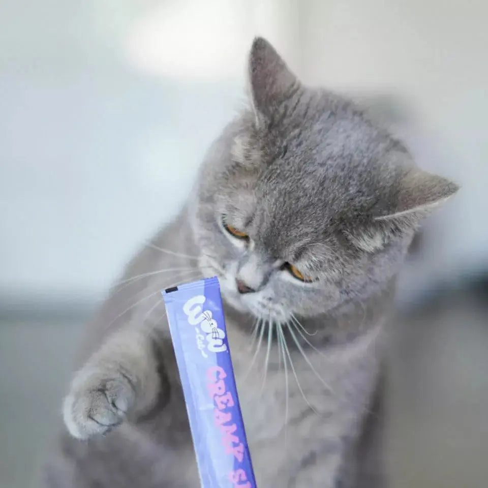 WOW - Multipack Creamy Snack Poulet & Saumon pour chat WOW