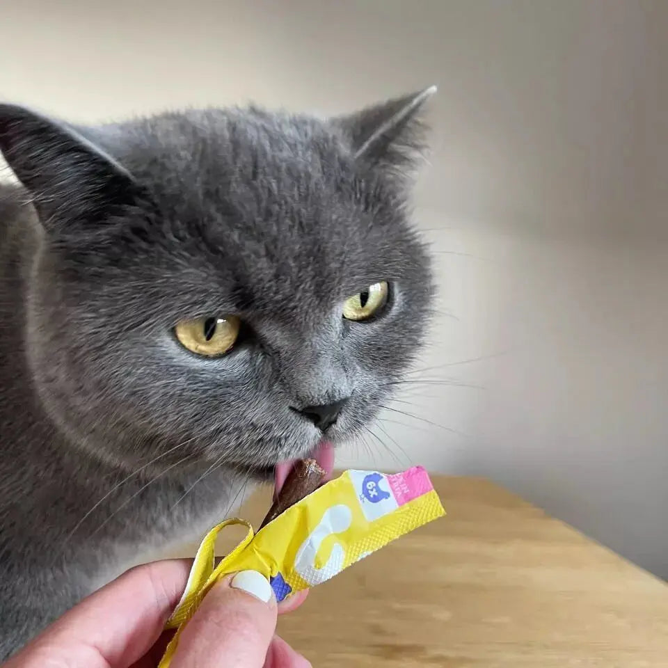 WOW - Soft Sticks pour chat WOW