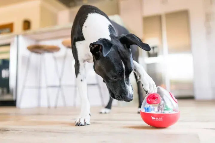 Wobble Ball â Jouet distributeur de friandises PET PLAY