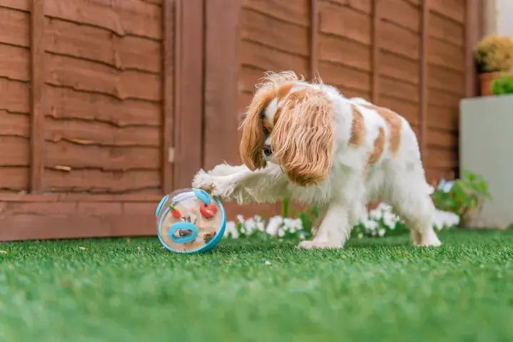 Wobble Ball â Jouet distributeur de friandises PET PLAY