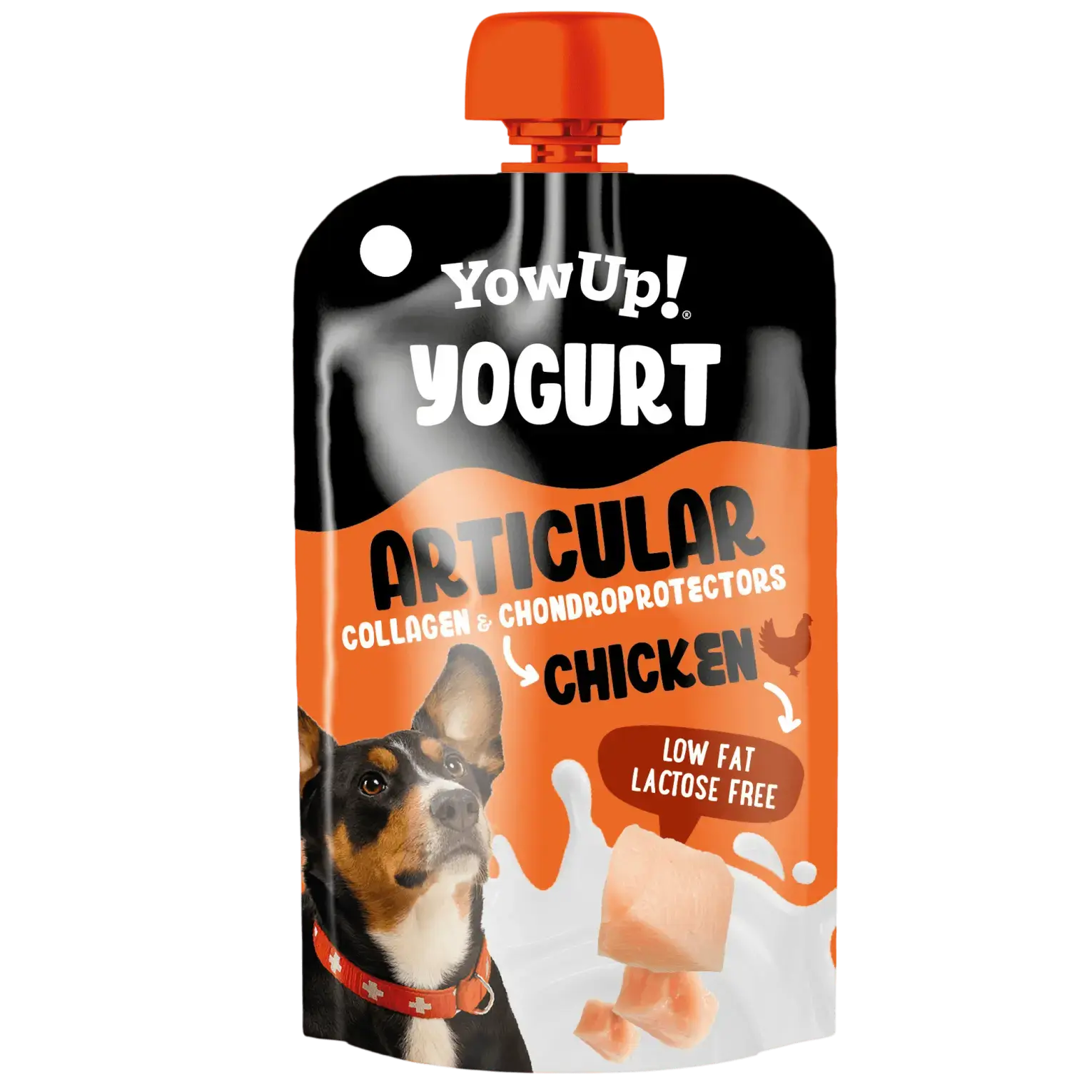 YowUp! Yaourt à Boire pour Chien – Toutes les Saveurs YOW UP!
