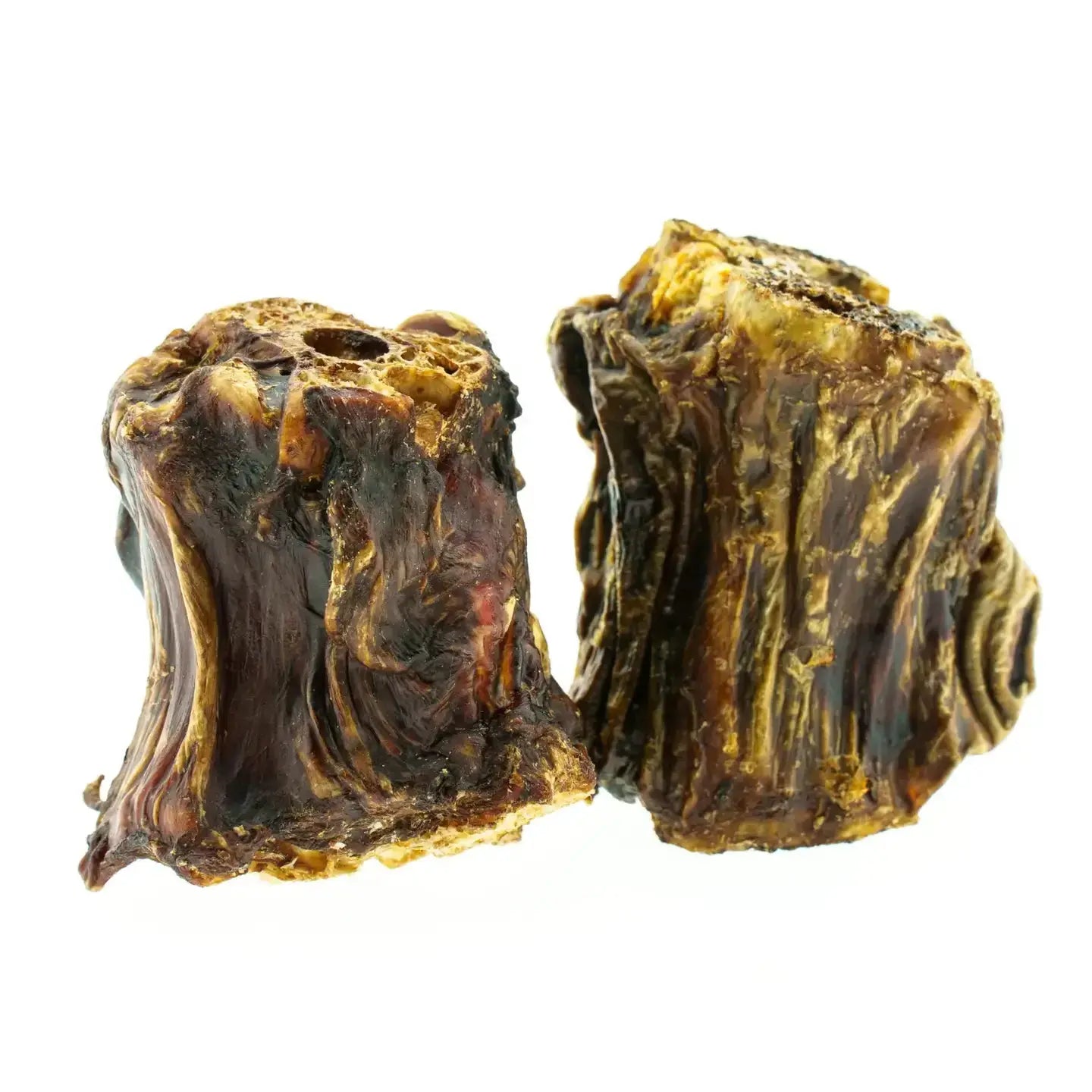 cou d'autruche coupé DOG & CAT ETOILES