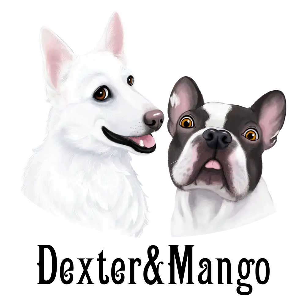 Dexter & Mango Dog&Cat étoiles
